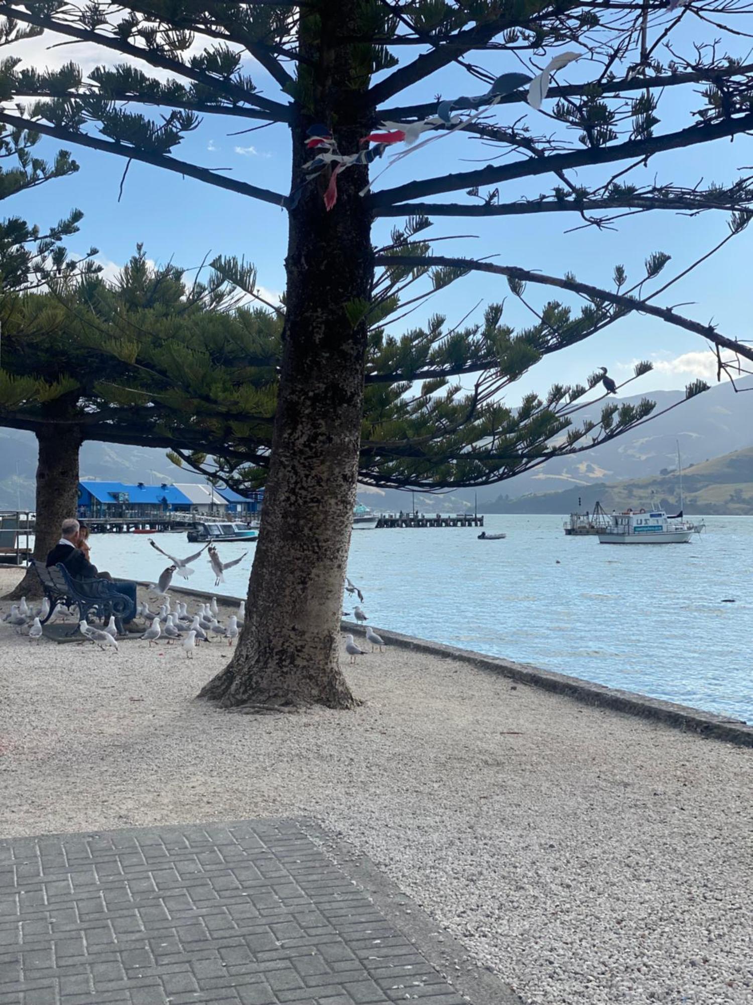 Hideaway - A Couples Retreat Βίλα Akaroa Εξωτερικό φωτογραφία